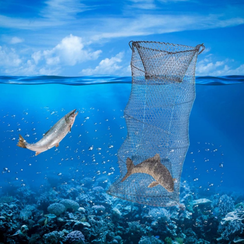 伸縮式折りたたみ式ザリガニカニ魚捕獲網 1-2 個エビロブス - Landing Net Telescopic のレビューと価格